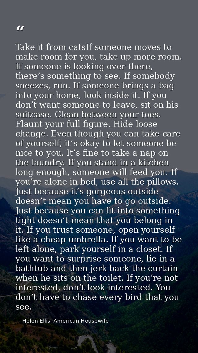 Take it from catsIf someone moves to make room for you, take up more room. If someone is looking over there, there’s som — Helen Ellis, American Housewife