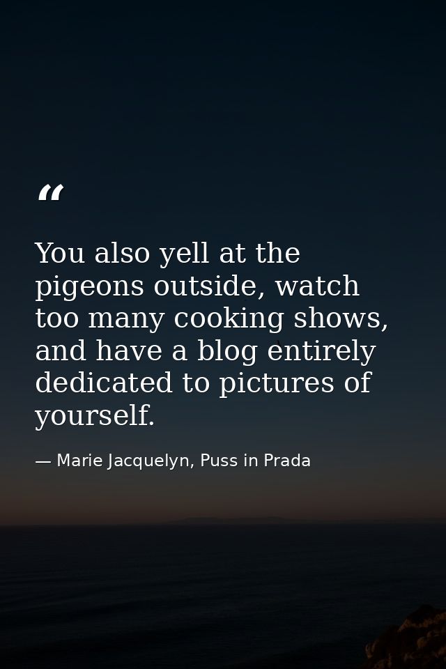 You also yell at the pigeons outside, watch too many cooking shows, and have a blog entirely dedicated to pictures of yo — Marie Jacquelyn, Puss in Prada