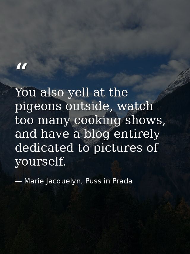 You also yell at the pigeons outside, watch too many cooking shows, and have a blog entirely dedicated to pictures of yo — Marie Jacquelyn, Puss in Prada