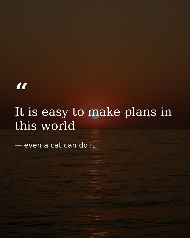 It is easy to make plans in this world — even a cat can do it