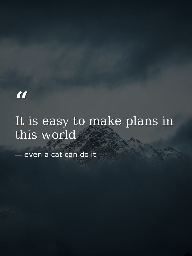 It is easy to make plans in this world — even a cat can do it