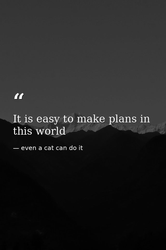 It is easy to make plans in this world — even a cat can do it