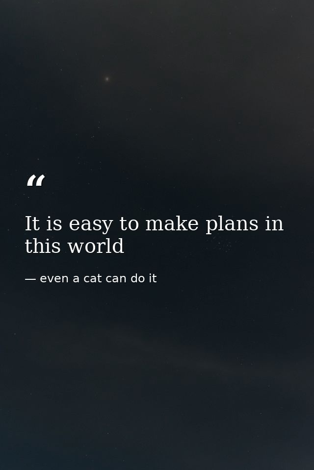 It is easy to make plans in this world — even a cat can do it