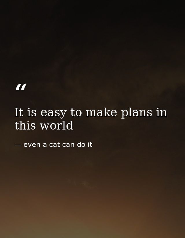 It is easy to make plans in this world — even a cat can do it