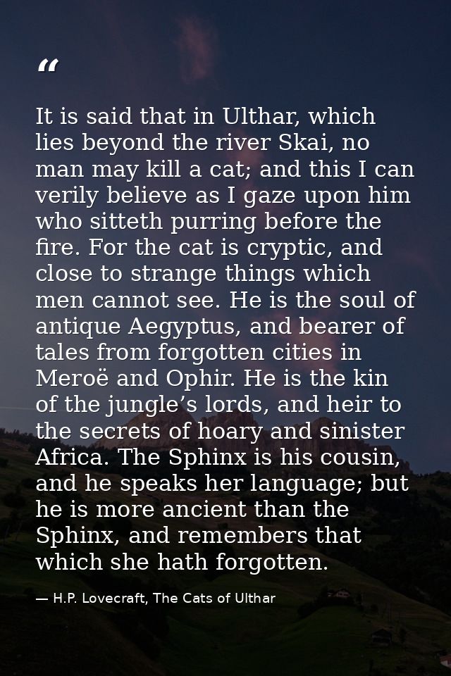 It is said that in Ulthar, which lies beyond the river Skai, no man may kill a cat; and this I can verily believe as I g — H.P. Lovecraft, The Cats of Ulthar
