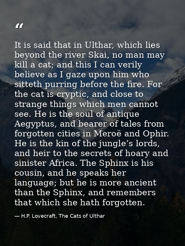 It is said that in Ulthar, which lies beyond the river Skai, no man may kill a cat; and this I can verily believe as I g — H.P. Lovecraft, The Cats of Ulthar