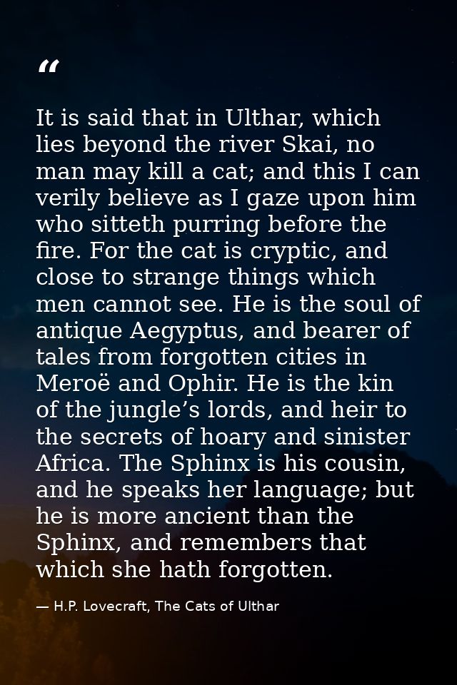It is said that in Ulthar, which lies beyond the river Skai, no man may kill a cat; and this I can verily believe as I g — H.P. Lovecraft, The Cats of Ulthar