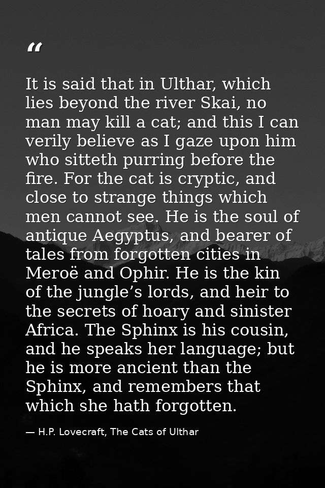 It is said that in Ulthar, which lies beyond the river Skai, no man may kill a cat; and this I can verily believe as I g — H.P. Lovecraft, The Cats of Ulthar