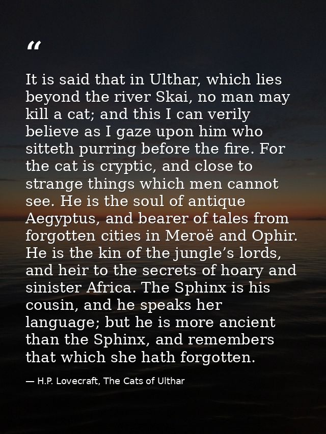 It is said that in Ulthar, which lies beyond the river Skai, no man may kill a cat; and this I can verily believe as I g — H.P. Lovecraft, The Cats of Ulthar