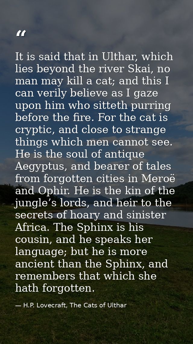 It is said that in Ulthar, which lies beyond the river Skai, no man may kill a cat; and this I can verily believe as I g — H.P. Lovecraft, The Cats of Ulthar