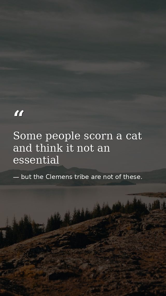 Some people scorn a cat and think it not an essential — but the Clemens tribe are not of these.