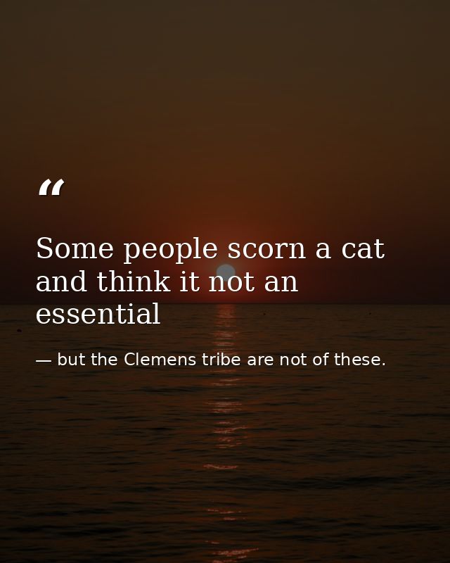 Some people scorn a cat and think it not an essential — but the Clemens tribe are not of these.