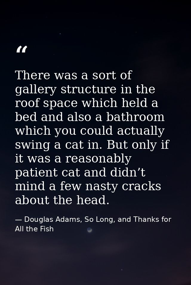 There was a sort of gallery structure in the roof space which held a bed and also a bathroom which you could actually sw — Douglas Adams, So Long, and Thanks for All the Fish