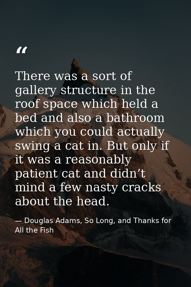 There was a sort of gallery structure in the roof space which held a bed and also a bathroom which you could actually sw — Douglas Adams, So Long, and Thanks for All the Fish