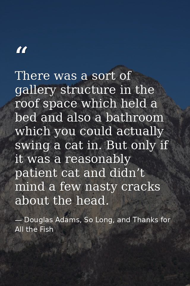 There was a sort of gallery structure in the roof space which held a bed and also a bathroom which you could actually sw — Douglas Adams, So Long, and Thanks for All the Fish