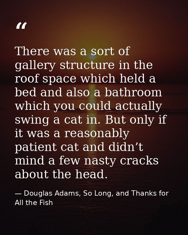 There was a sort of gallery structure in the roof space which held a bed and also a bathroom which you could actually sw — Douglas Adams, So Long, and Thanks for All the Fish