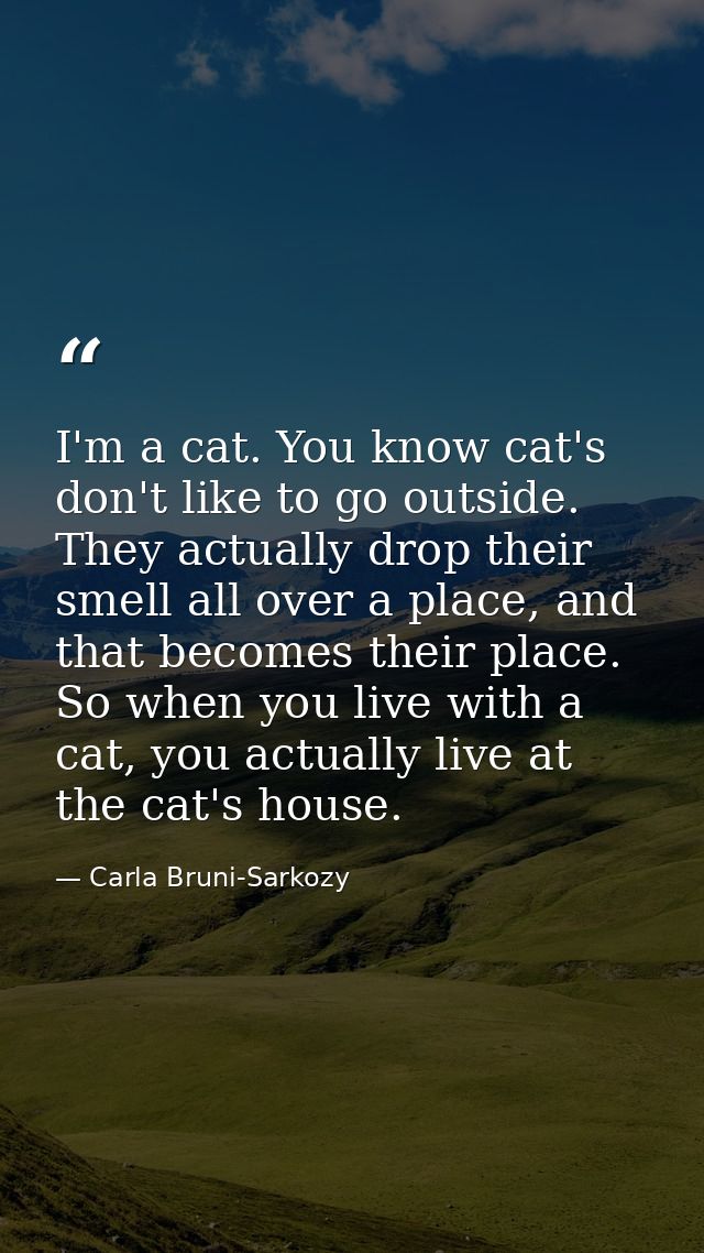 I'm a cat. You know cat's don't like to go outside. They actually drop their smell all over a place, and that becomes th — Carla Bruni-Sarkozy