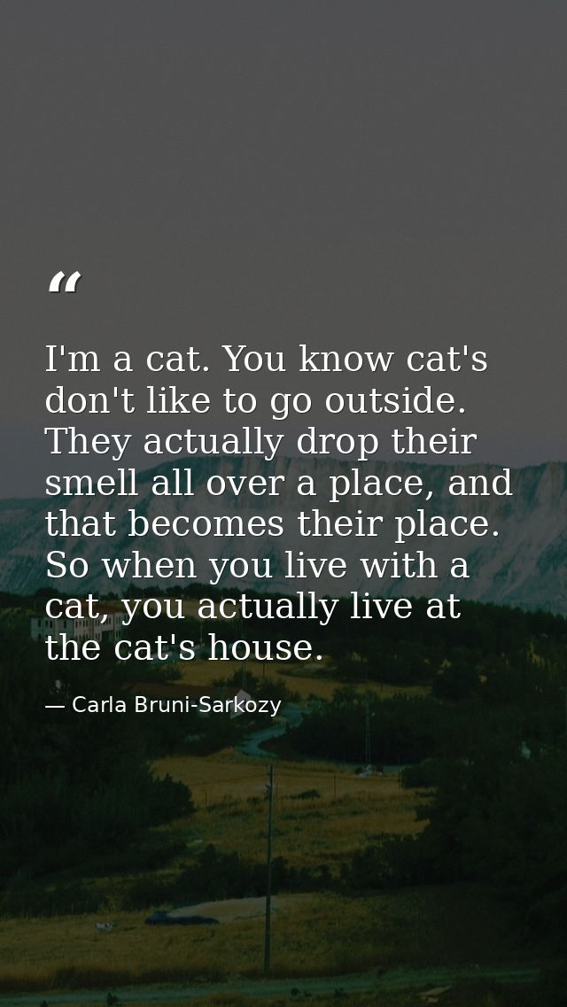 I'm a cat. You know cat's don't like to go outside. They actually drop their smell all over a place, and that becomes th — Carla Bruni-Sarkozy