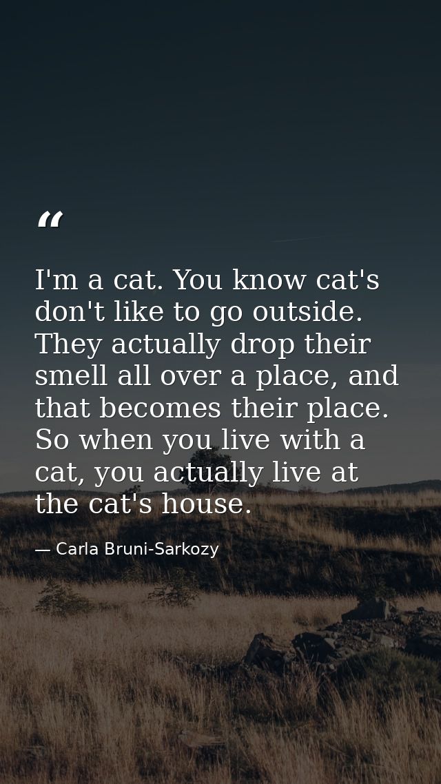 I'm a cat. You know cat's don't like to go outside. They actually drop their smell all over a place, and that becomes th — Carla Bruni-Sarkozy