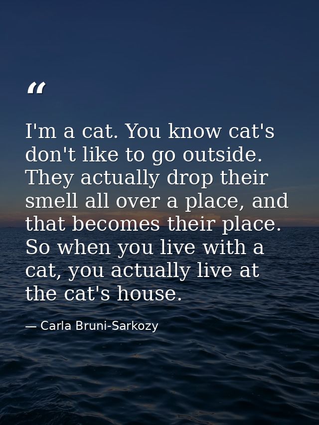 I'm a cat. You know cat's don't like to go outside. They actually drop their smell all over a place, and that becomes th — Carla Bruni-Sarkozy
