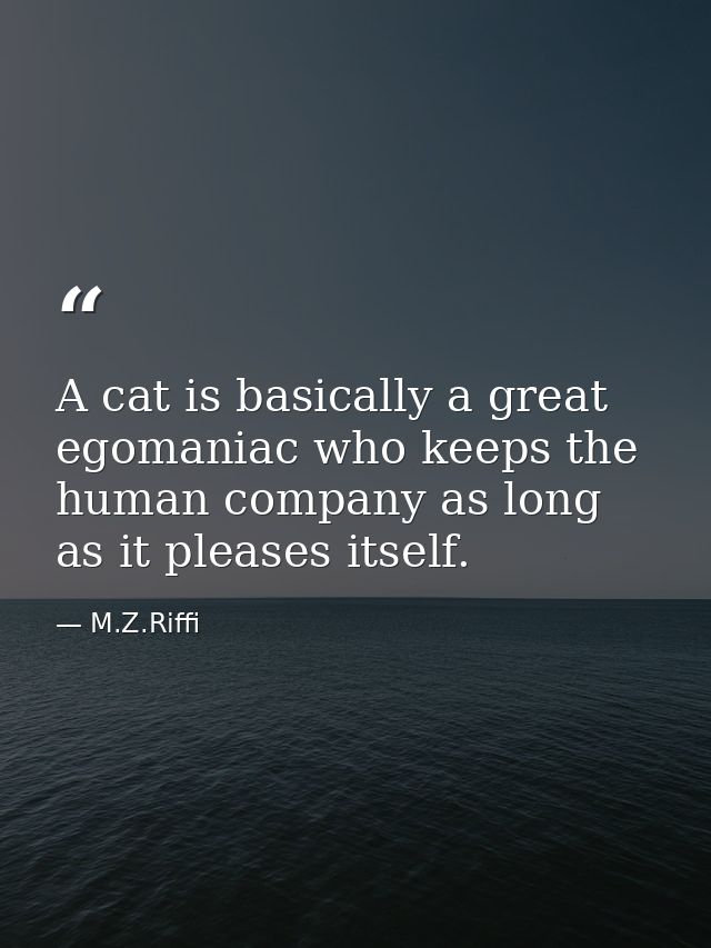 A cat is basically a great egomaniac who keeps the human company as long as it pleases itself. — M.Z.Riffi