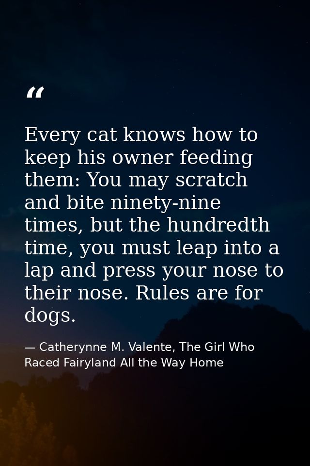 Every cat knows how to keep his owner feeding them: You may scratch and bite ninety-nine times, but the hundredth time,  — Catherynne M. Valente, The Girl Who Raced Fairyland All the Way Home