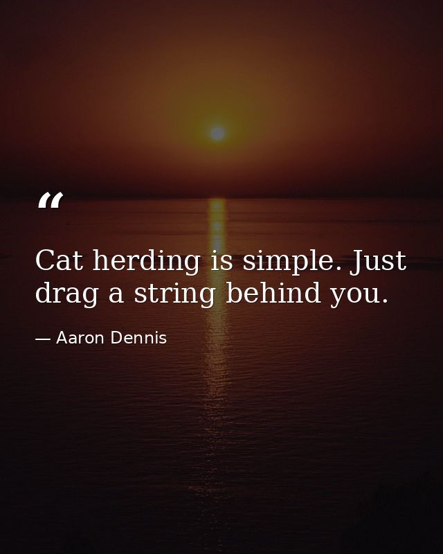 Cat herding is simple. Just drag a string behind you. — Aaron Dennis