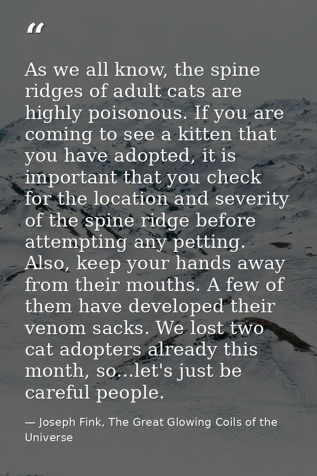 As we all know, the spine ridges of adult cats are highly poisonous. If you are coming to see a kitten that you have ado — Joseph Fink, The Great Glowing Coils of the Universe