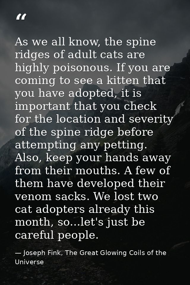 As we all know, the spine ridges of adult cats are highly poisonous. If you are coming to see a kitten that you have ado — Joseph Fink, The Great Glowing Coils of the Universe