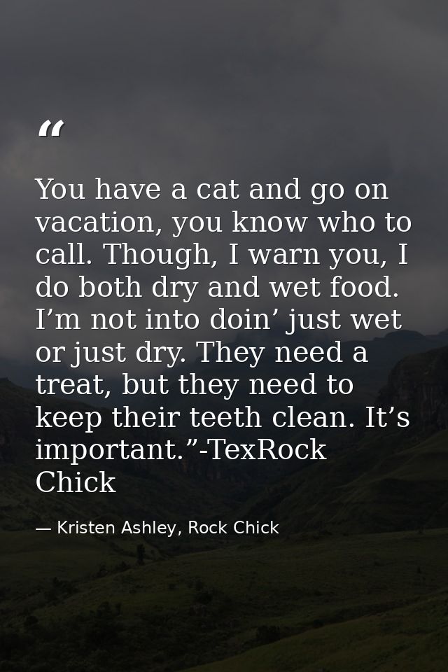 You have a cat and go on vacation, you know who to call. Though, I warn you, I do both dry and wet food. I’m not into do — Kristen Ashley, Rock Chick