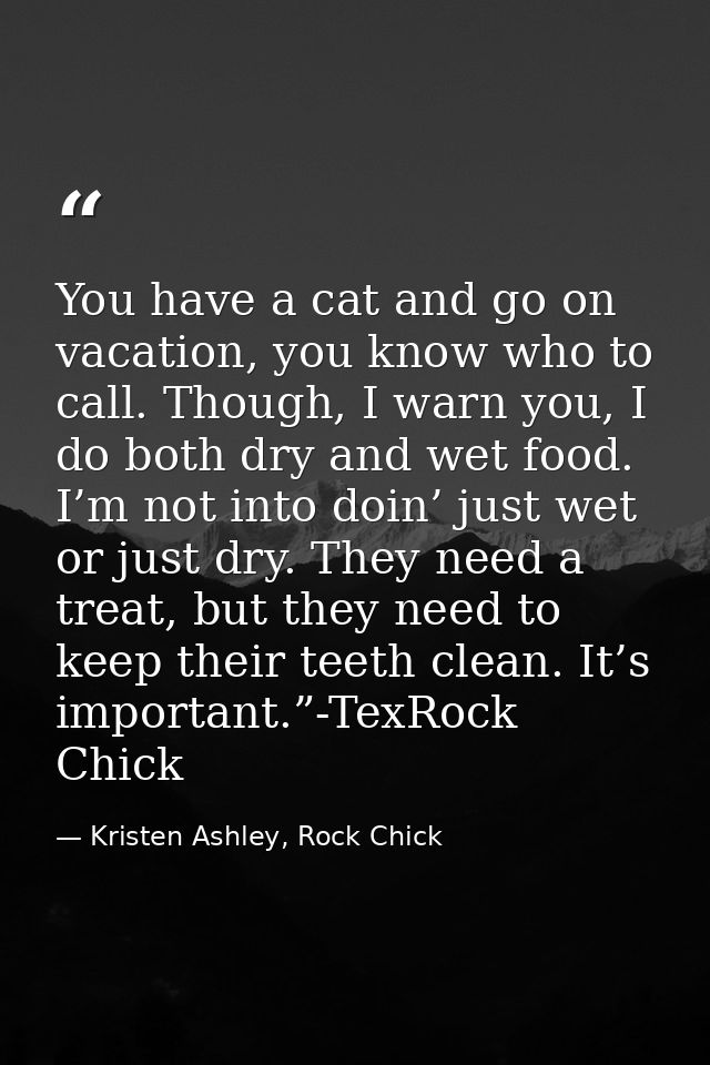 You have a cat and go on vacation, you know who to call. Though, I warn you, I do both dry and wet food. I’m not into do — Kristen Ashley, Rock Chick