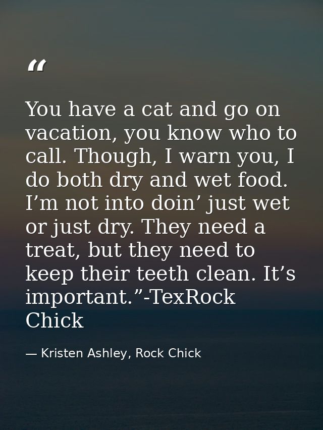 You have a cat and go on vacation, you know who to call. Though, I warn you, I do both dry and wet food. I’m not into do — Kristen Ashley, Rock Chick