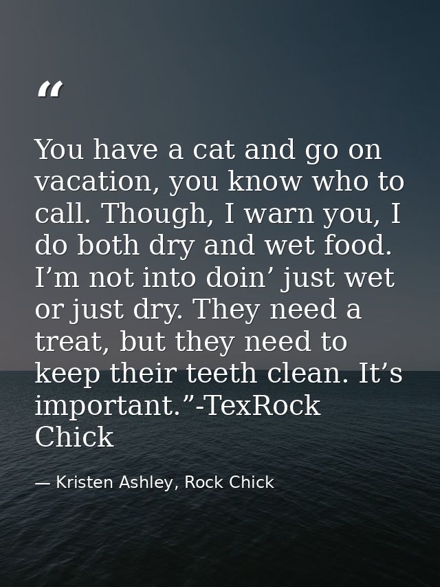 You have a cat and go on vacation, you know who to call. Though, I warn you, I do both dry and wet food. I’m not into do — Kristen Ashley, Rock Chick