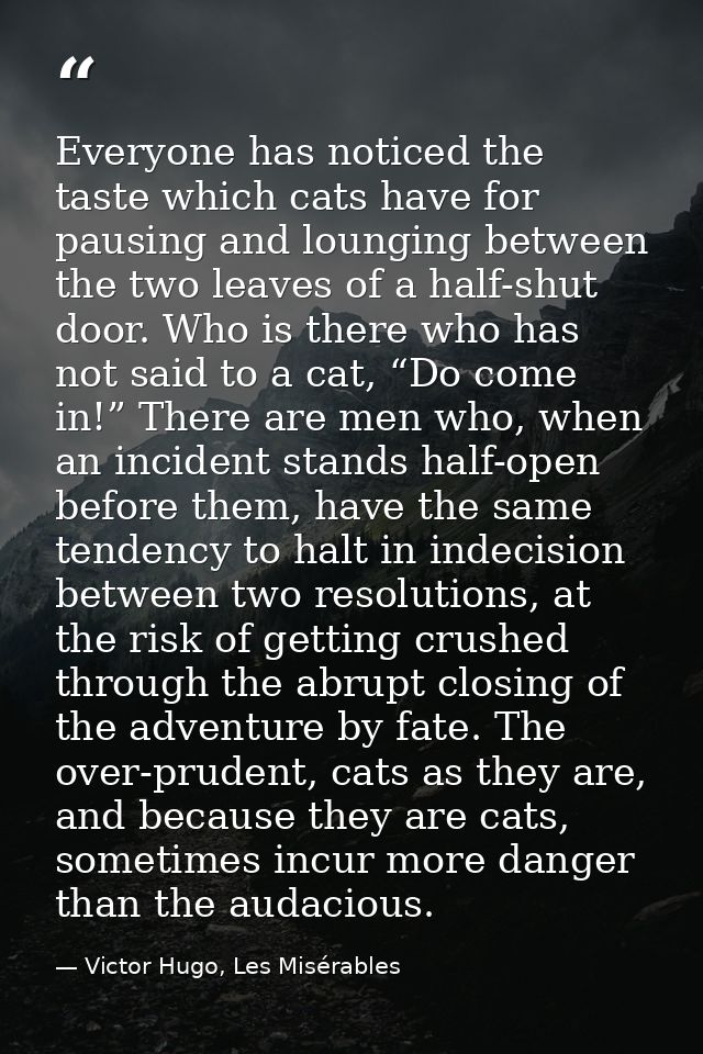Everyone has noticed the taste which cats have for pausing and lounging between the two leaves of a half-shut door. Who  — Victor Hugo, Les Misérables