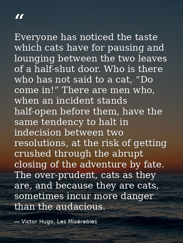 Everyone has noticed the taste which cats have for pausing and lounging between the two leaves of a half-shut door. Who  — Victor Hugo, Les Misérables