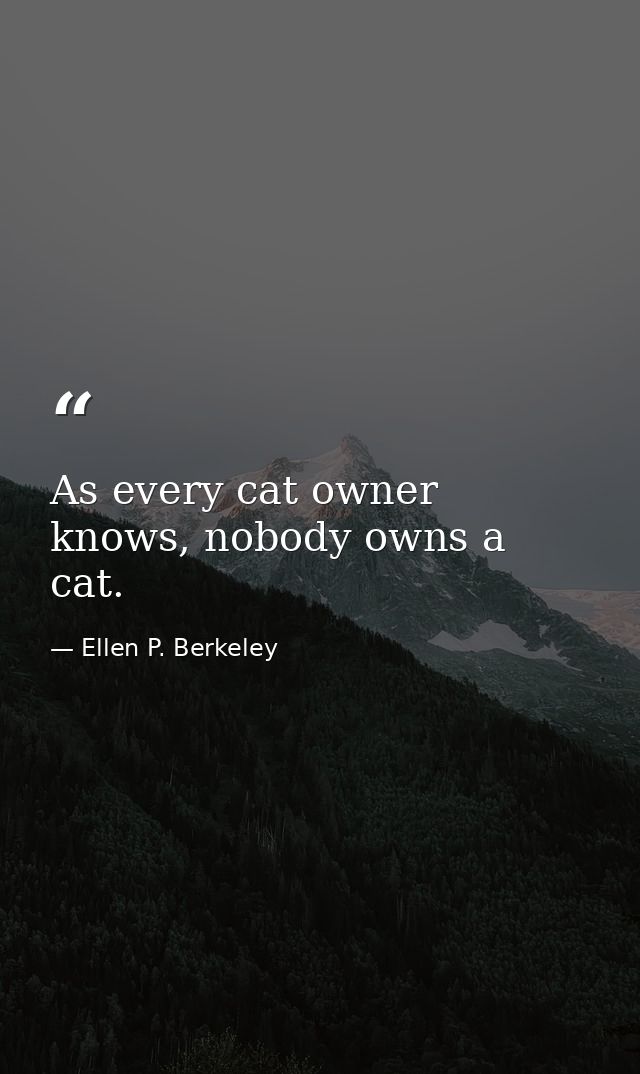 As every cat owner knows, nobody owns a cat. — Ellen P. Berkeley