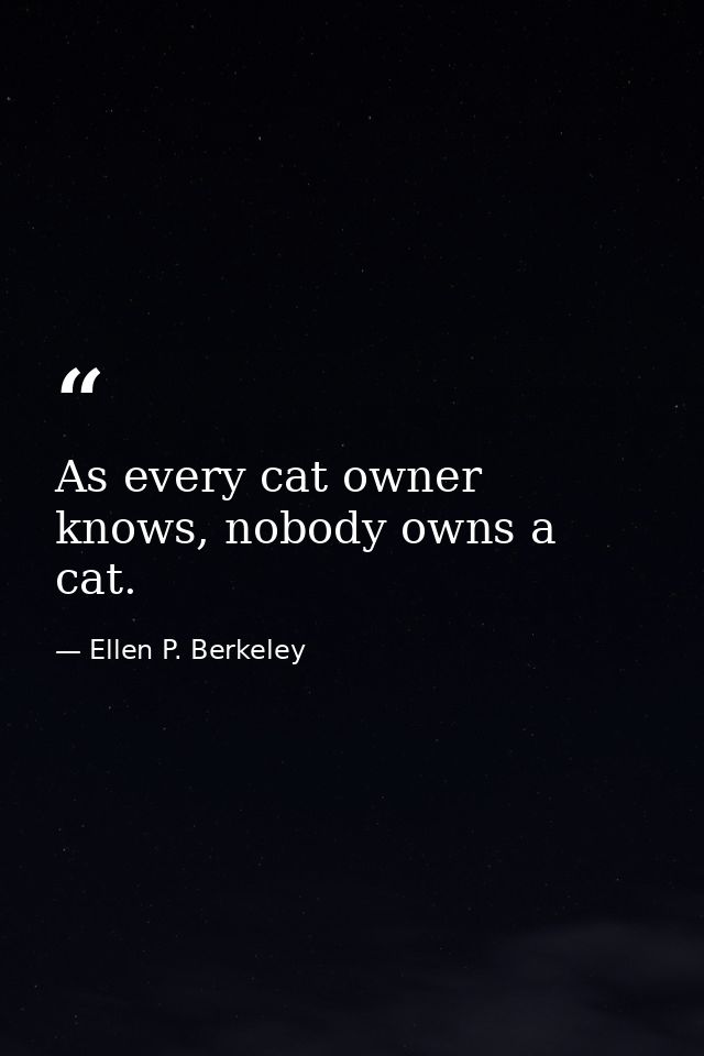 As every cat owner knows, nobody owns a cat. — Ellen P. Berkeley