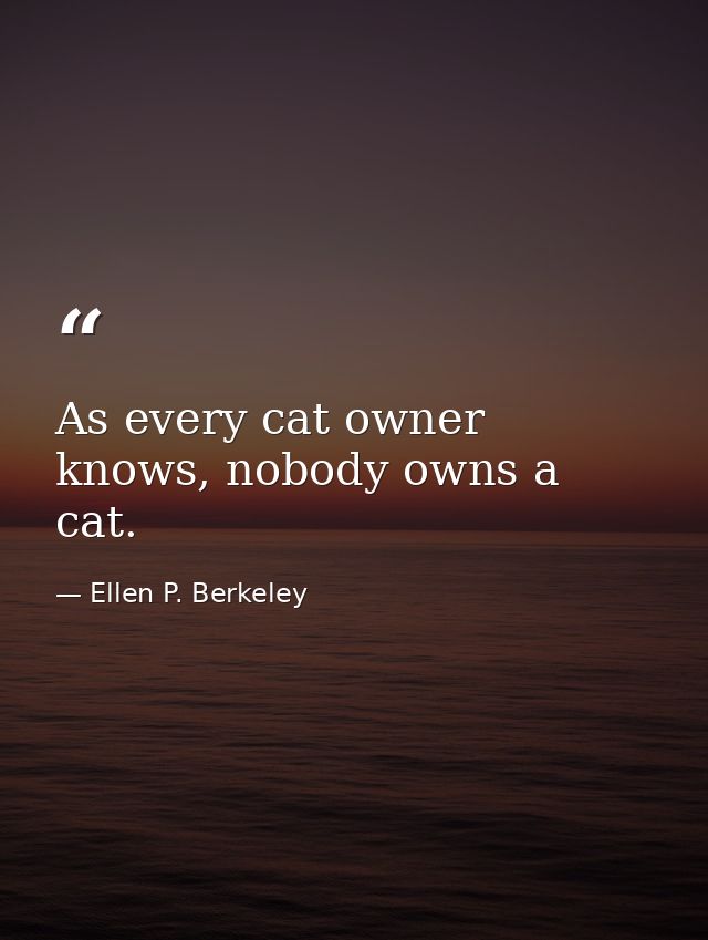 As every cat owner knows, nobody owns a cat. — Ellen P. Berkeley