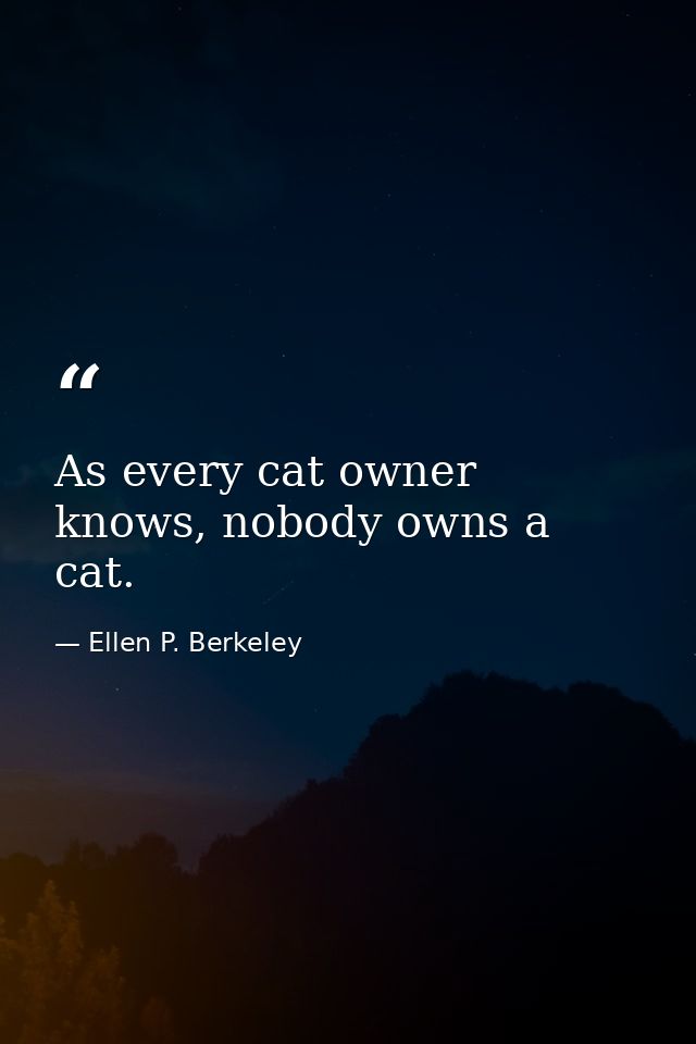 As every cat owner knows, nobody owns a cat. — Ellen P. Berkeley