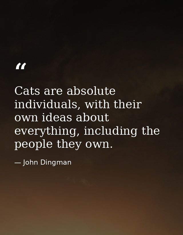 Cats are absolute individuals, with their own ideas about everything, including the people they own. — John Dingman