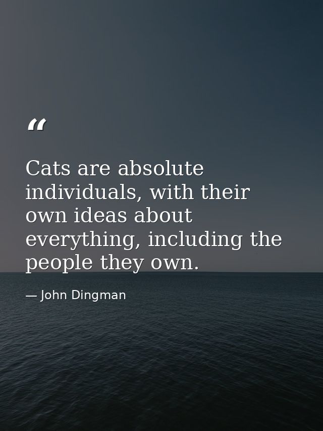Cats are absolute individuals, with their own ideas about everything, including the people they own. — John Dingman