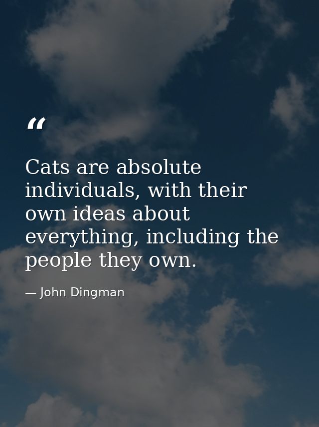Cats are absolute individuals, with their own ideas about everything, including the people they own. — John Dingman