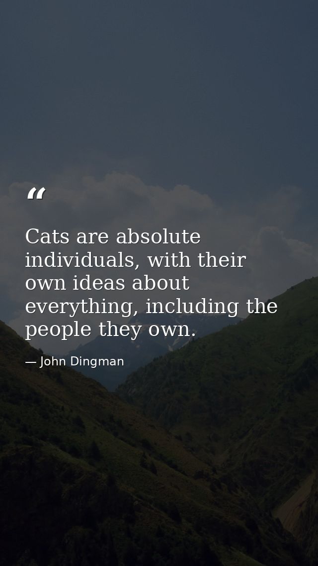 Cats are absolute individuals, with their own ideas about everything, including the people they own. — John Dingman