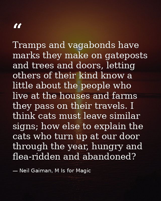 Tramps and vagabonds have marks they make on gateposts and trees and doors, letting others of their kind know a little a — Neil Gaiman, M Is for Magic