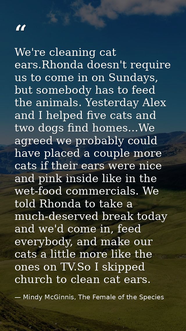 We're cleaning cat ears.Rhonda doesn't require us to come in on Sundays, but somebody has to feed the animals. Yesterday — Mindy McGinnis, The Female of the Species