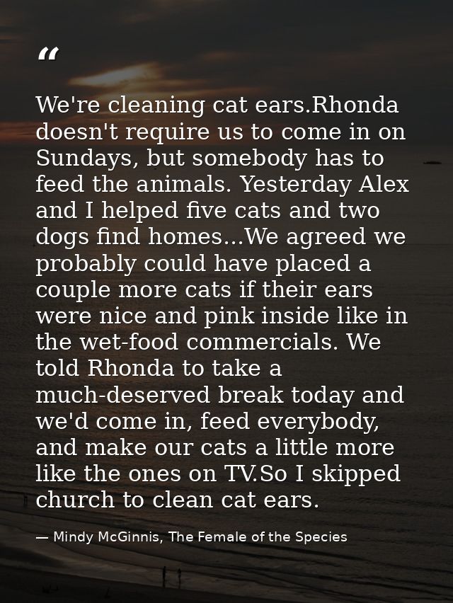 We're cleaning cat ears.Rhonda doesn't require us to come in on Sundays, but somebody has to feed the animals. Yesterday — Mindy McGinnis, The Female of the Species