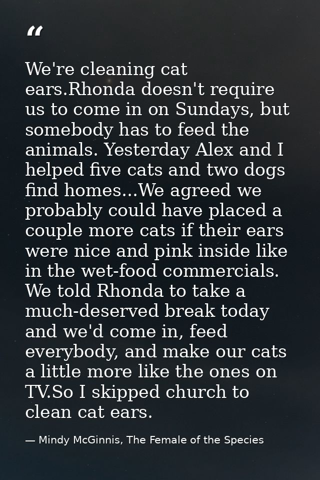 We're cleaning cat ears.Rhonda doesn't require us to come in on Sundays, but somebody has to feed the animals. Yesterday — Mindy McGinnis, The Female of the Species