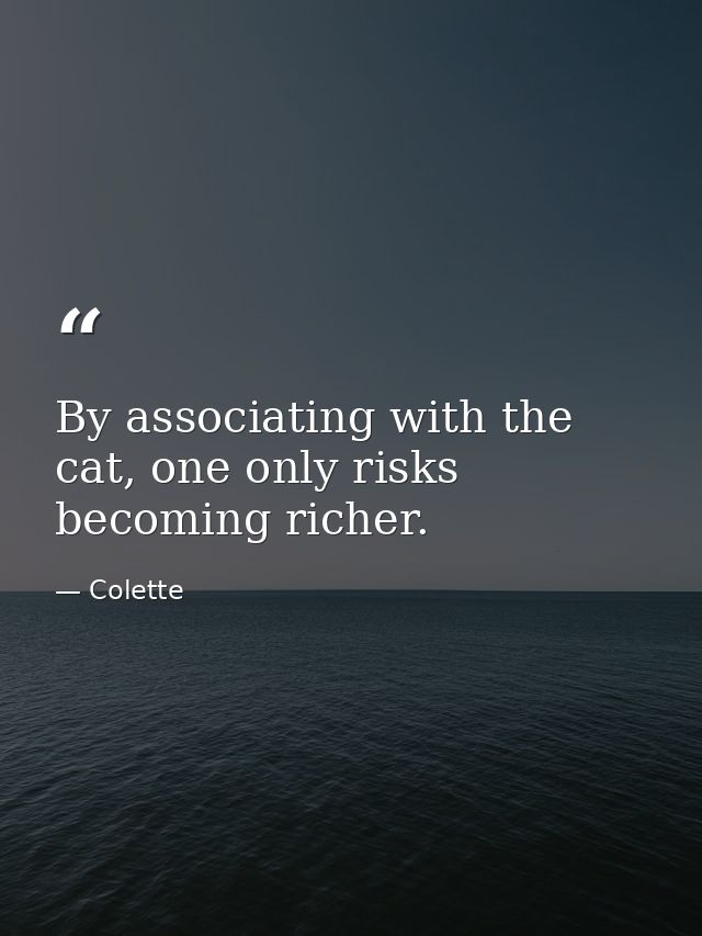 By associating with the cat, one only risks becoming richer. — Colette