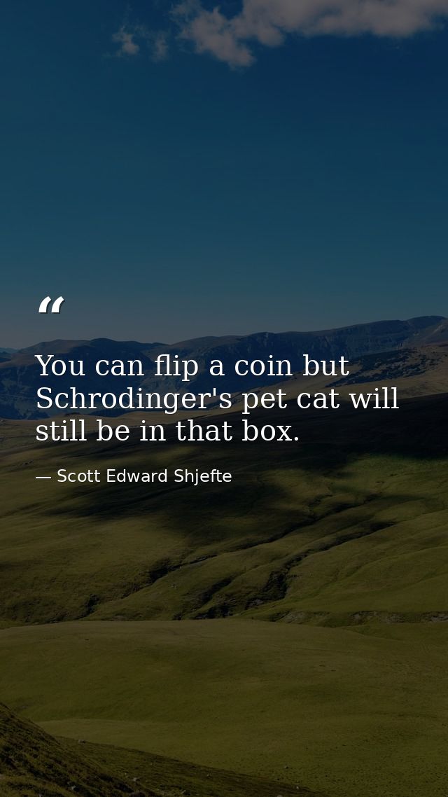 You can flip a coin but Schrodinger's pet cat will still be in that box. — Scott Edward Shjefte
