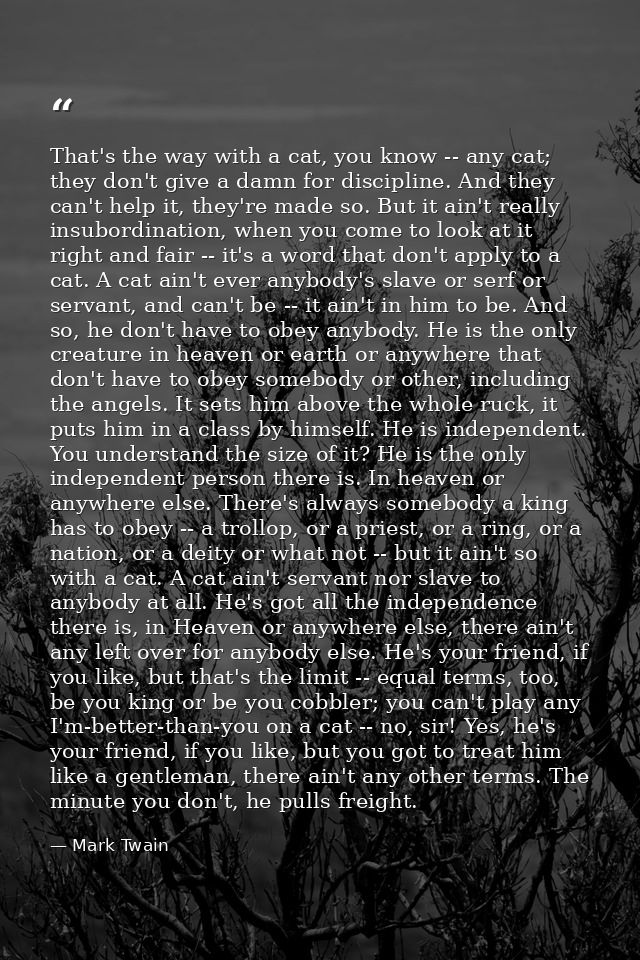 That's the way with a cat, you know -- any cat; they don't give a damn for discipline. And they can't help it, they're m — Mark Twain